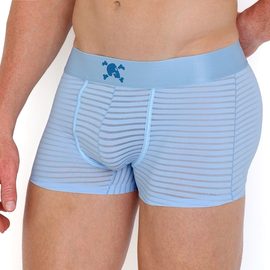 Just The Bones Sheer Sky Stripe Trunk