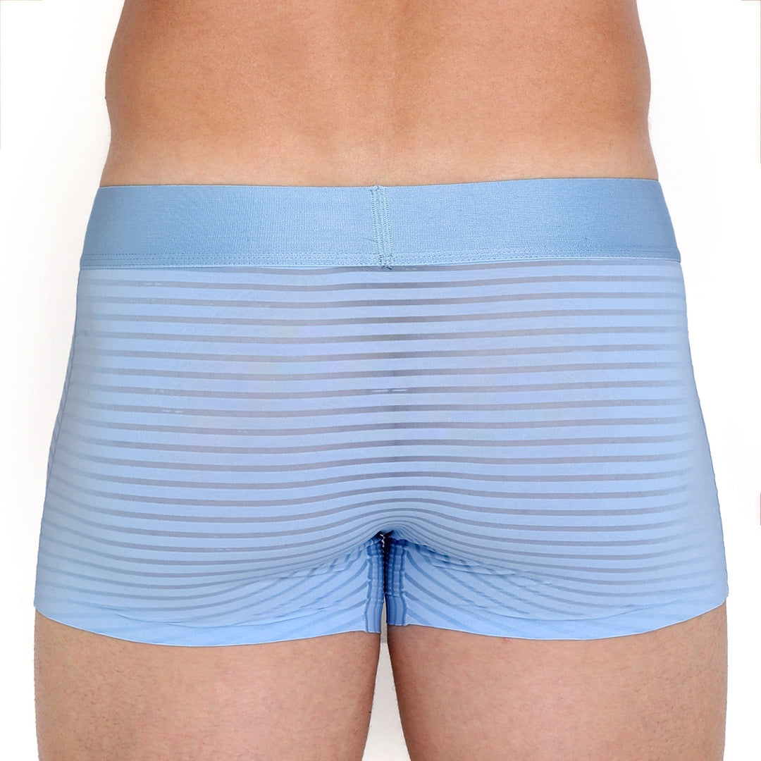 Just The Bones Sheer Sky Stripe Trunk