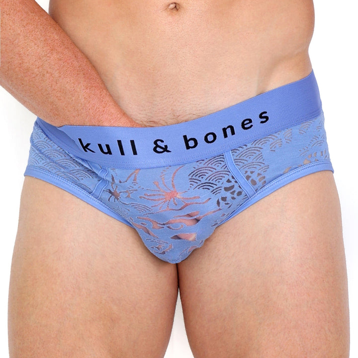 Dragon Burnout Periwinkle Brief