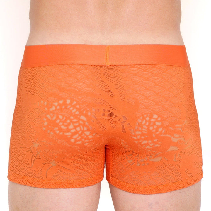 Dragon Burnout Orange Trunk