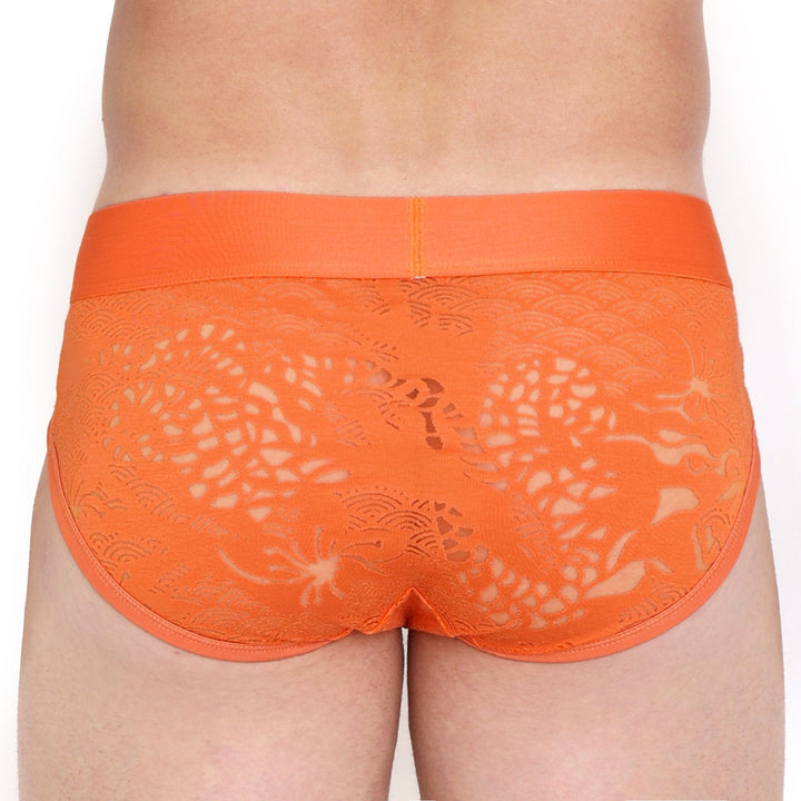 Dragon Burnout Orange Brief