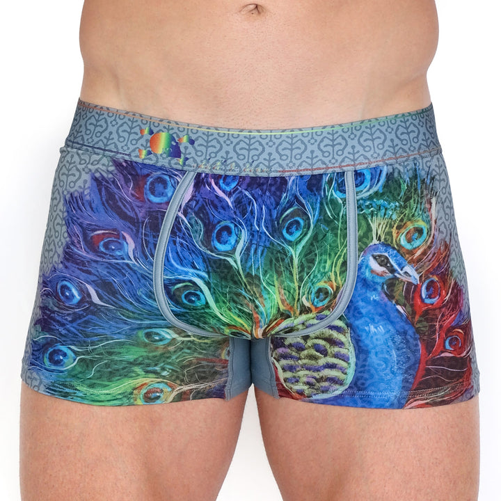 Peacock Rainbow Grey Trunk