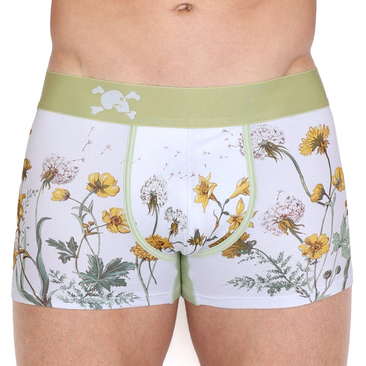 Dandelion White Trunk