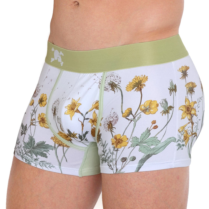 Dandelion White Trunk