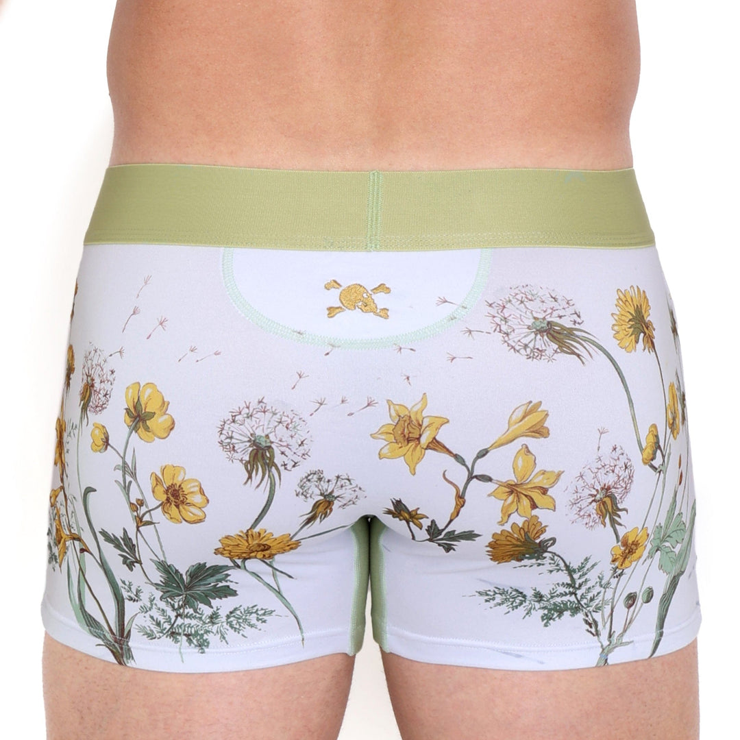 Dandelion White Trunk